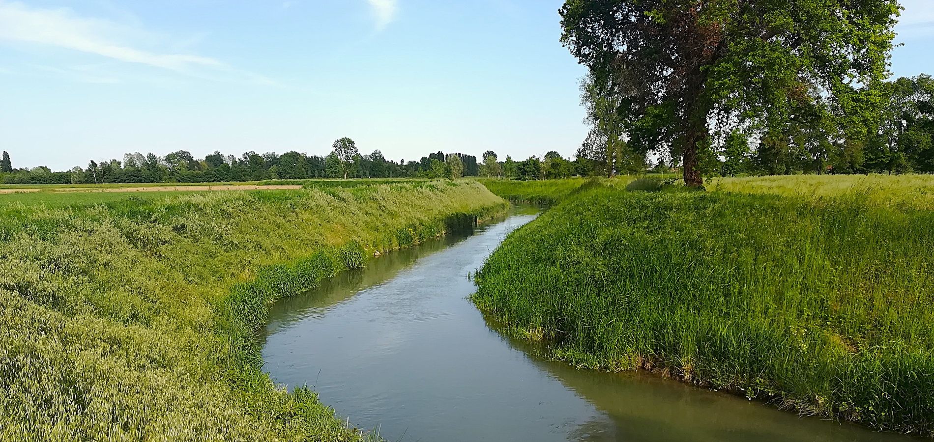 fiume Marzenego