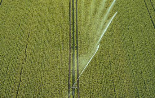 4.4 irrigazione 633f2179