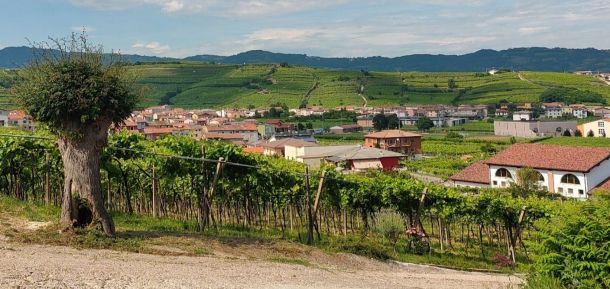 Riduzione delle perdite idriche di acquedotti gestiti da acquevenete 11 Luogo