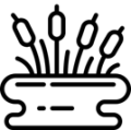 area umida