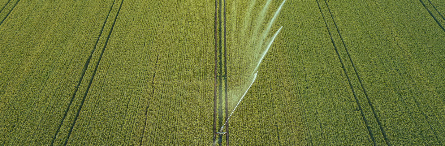 4.4 irrigazione
