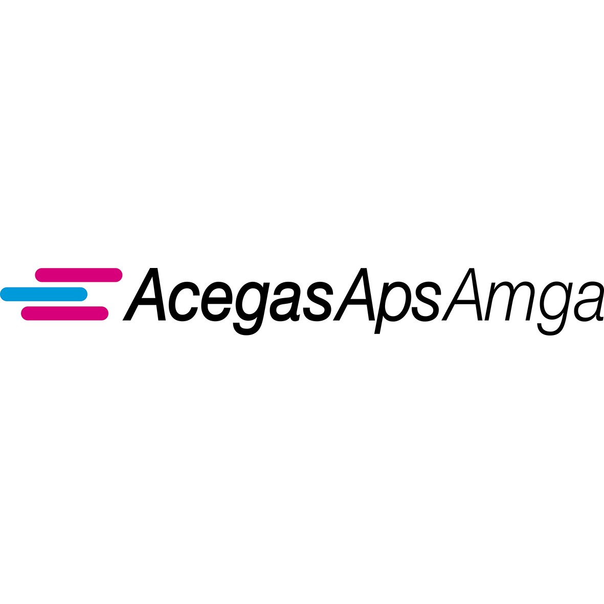 Clienti 1 AcegasApsAmga