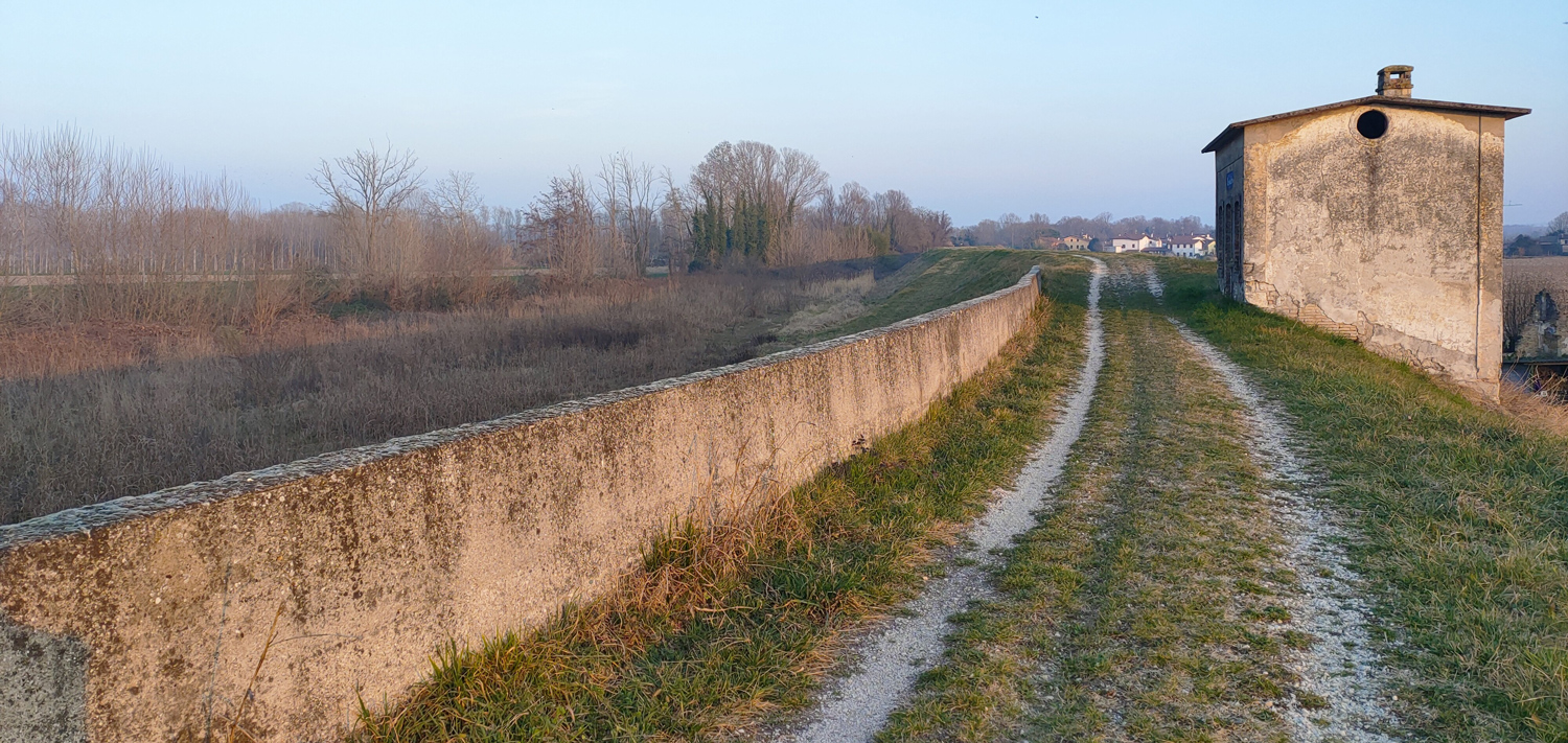 Sistemazione argini del fiume Tagliamento a San Michele al Tagliamento 6 San Michele 1