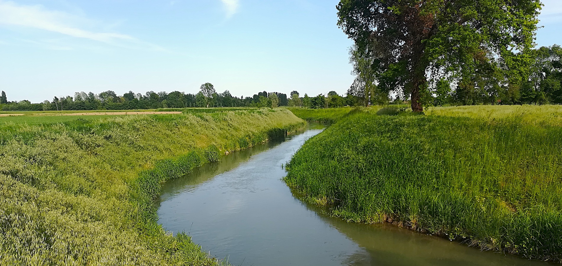 fiume Marzenego