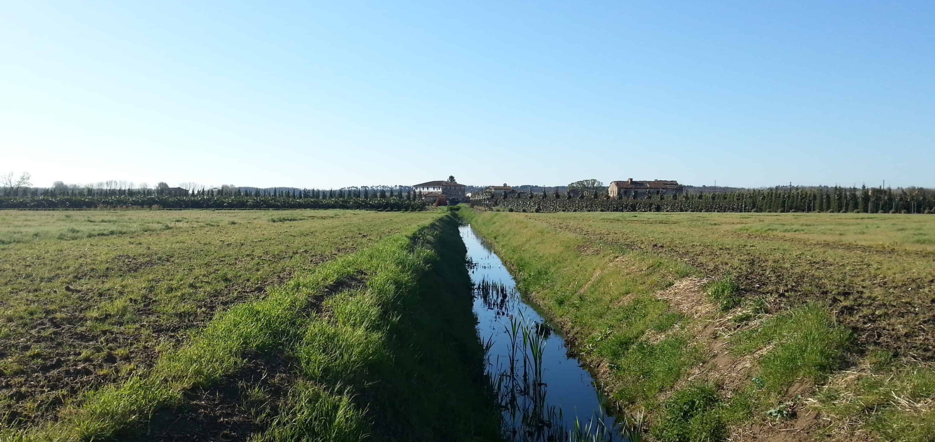 Analisi costi-benefici di soluzioni innovative per un’irrigazione sicura e sostenibile in provincia di Verona e Padova 5 0052 1