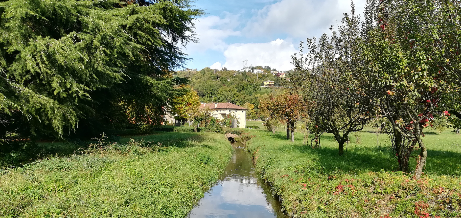 Rifacimento di due canali irrigui per la riduzione delle perdite idriche 1 0136 Copertina 1