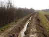 Sistemazione argini del fiume Livenza a Motta di Livenza 10 Sistemazione argini del fiume