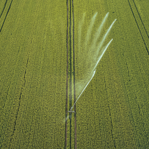 4.4 irrigazione 2f3f0108
