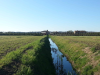Analisi costi-benefici di soluzioni innovative per un’irrigazione sicura e sostenibile in provincia di Verona e Padova 9 0052 1 428de1e5