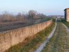Sistemazione argini del fiume Tagliamento a San Michele al Tagliamento 11 San Michele 1 74509a95
