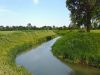 Cassa di espansione sul fiume Marzenego 14 fiume Marzenego